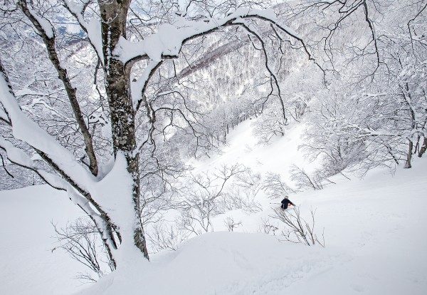 Nozawa