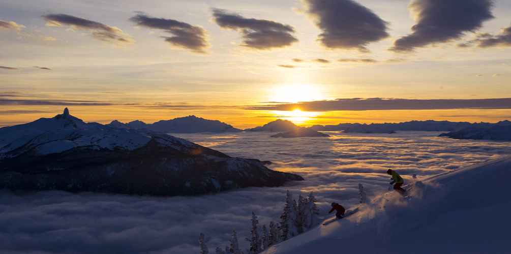 whistler