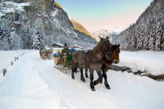 Bad Hof horse drawn sleigh