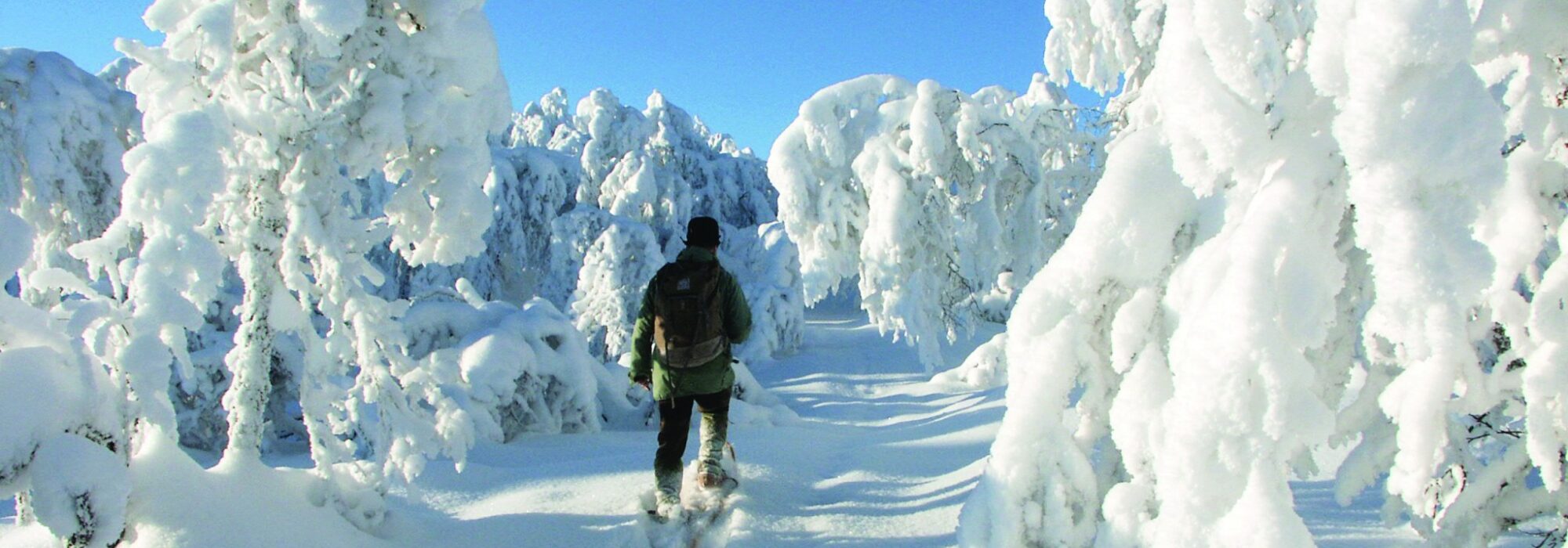 Cross country Geilo