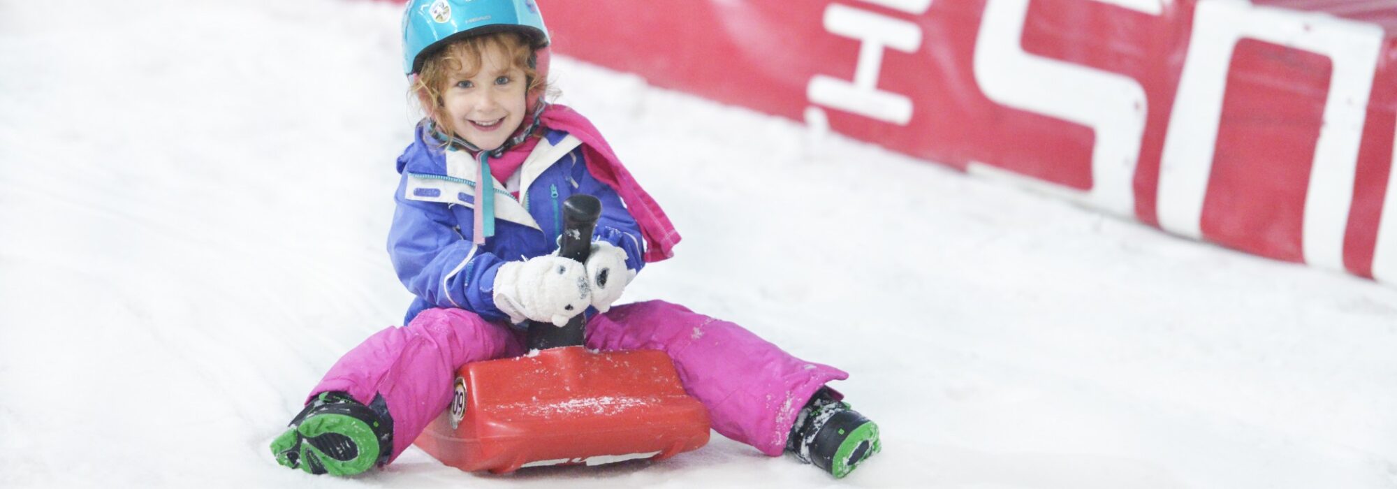 Sledging