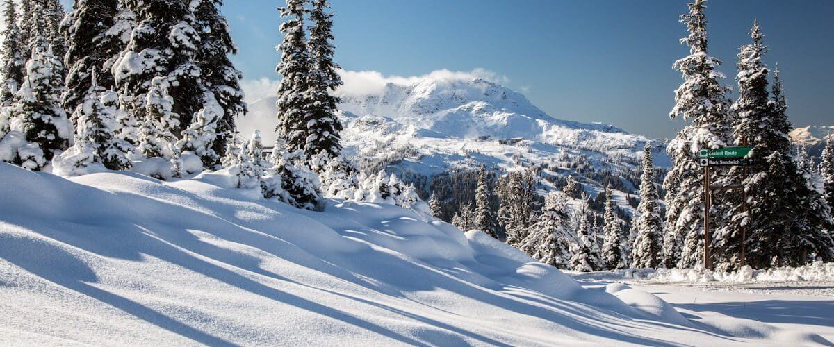 Whistler Resort Guide