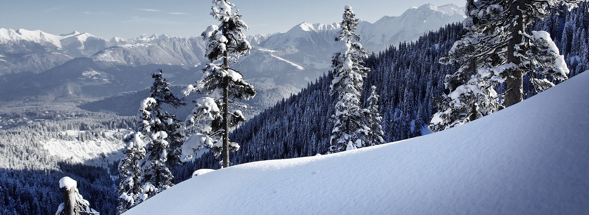LAAX 1