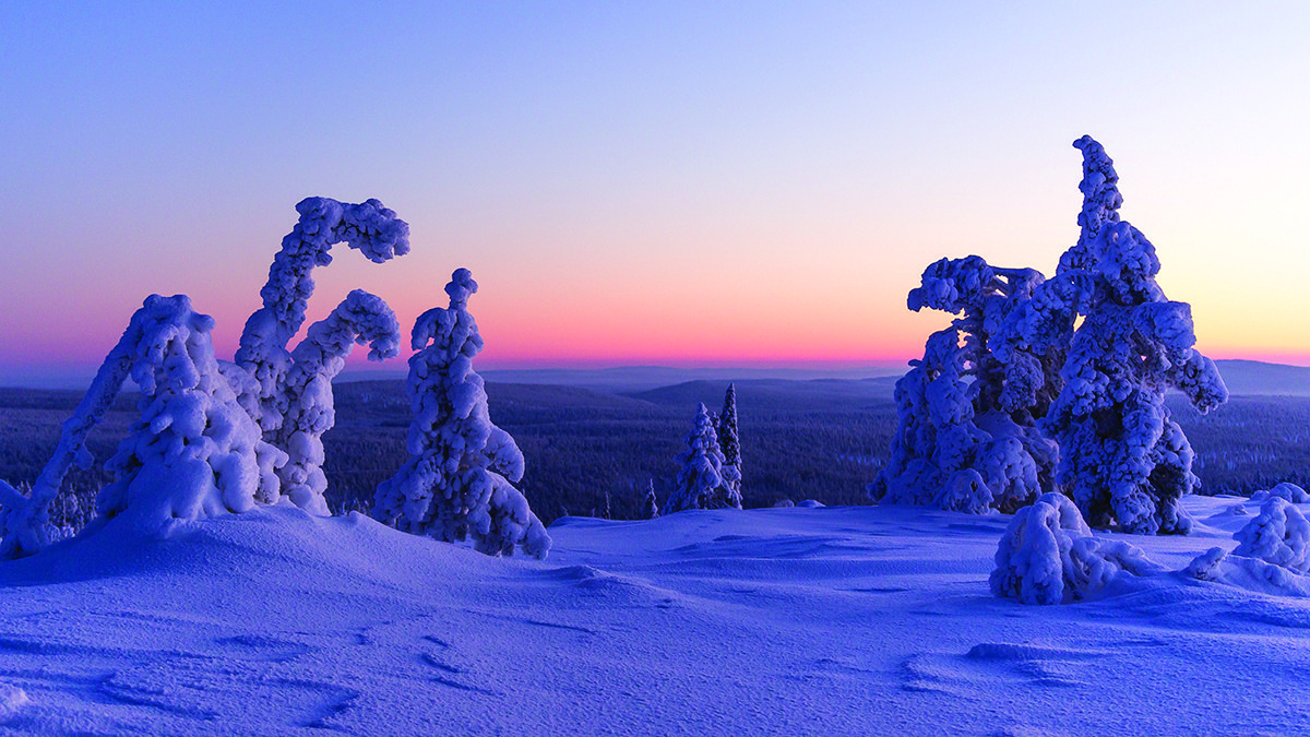 Yllas snowy landscape