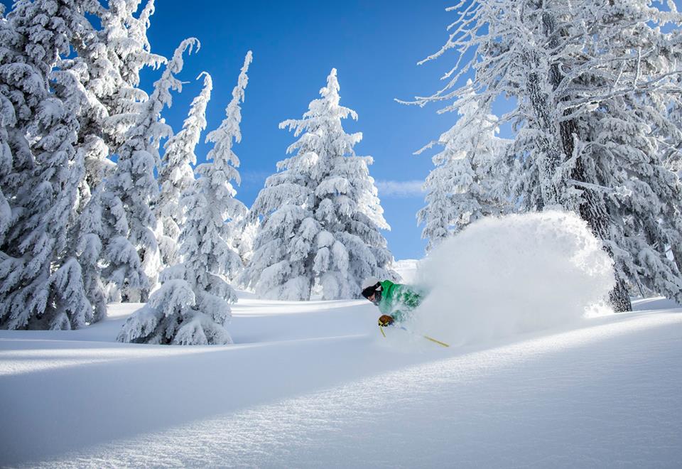 mt bachelor