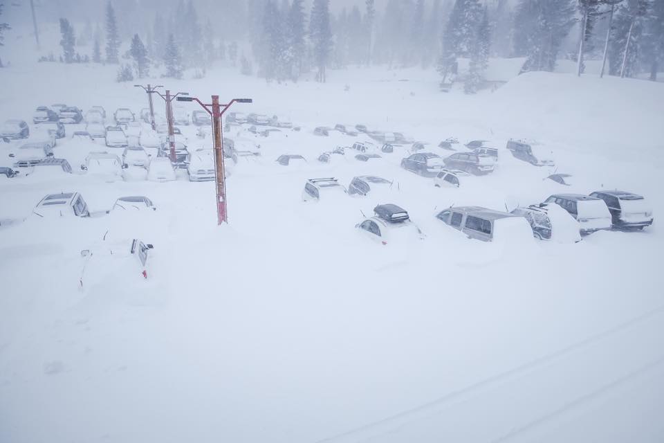 Mammoth