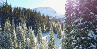 telluride