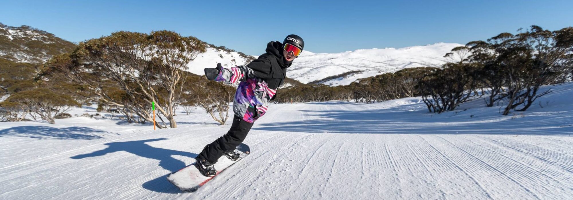 Perisher 4