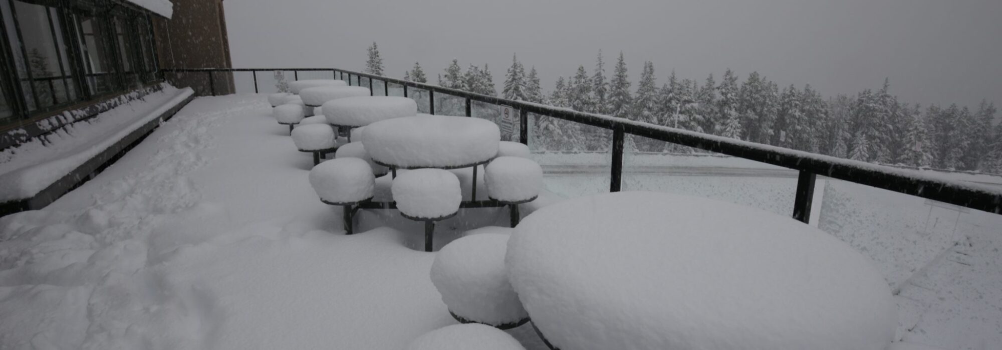 marmot basin