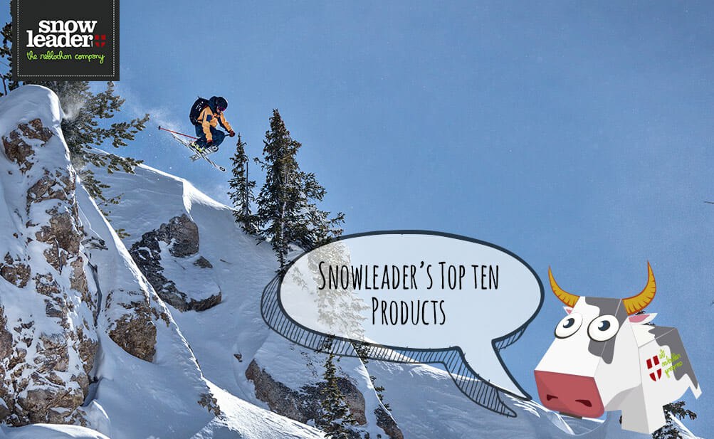 INTHESNOWPICTURE