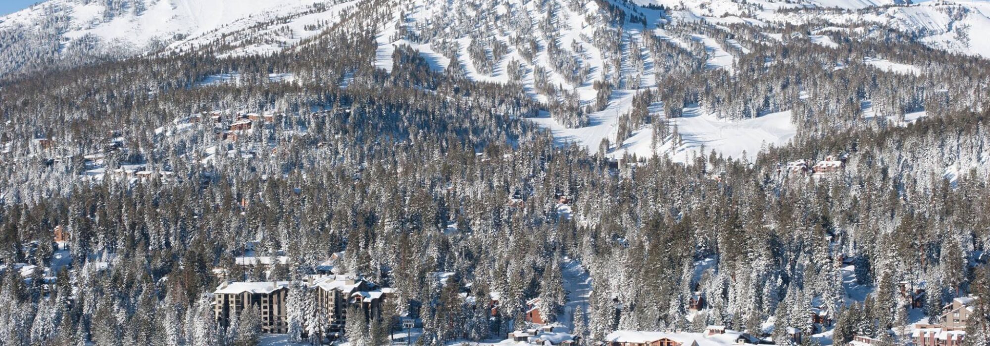 Mammoth 20 Dec