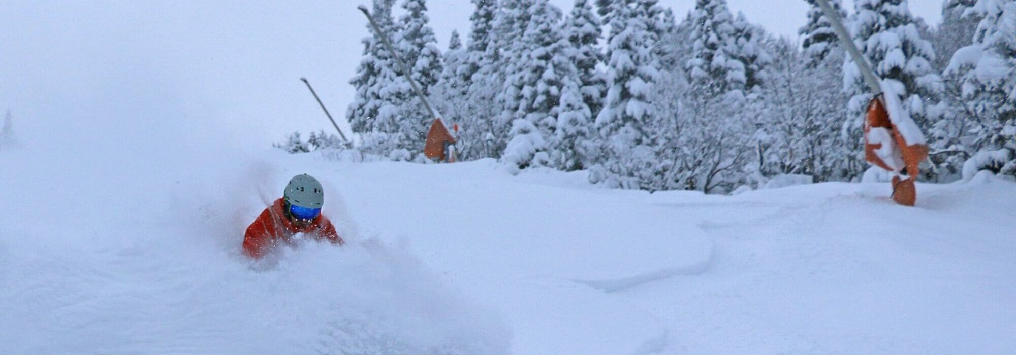 Stowe 11 Dec