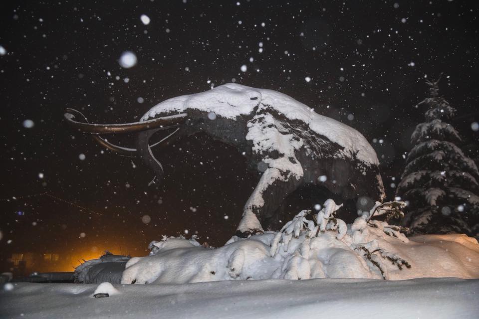 Mammoth 9 Jan