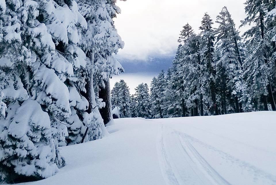 Northstar