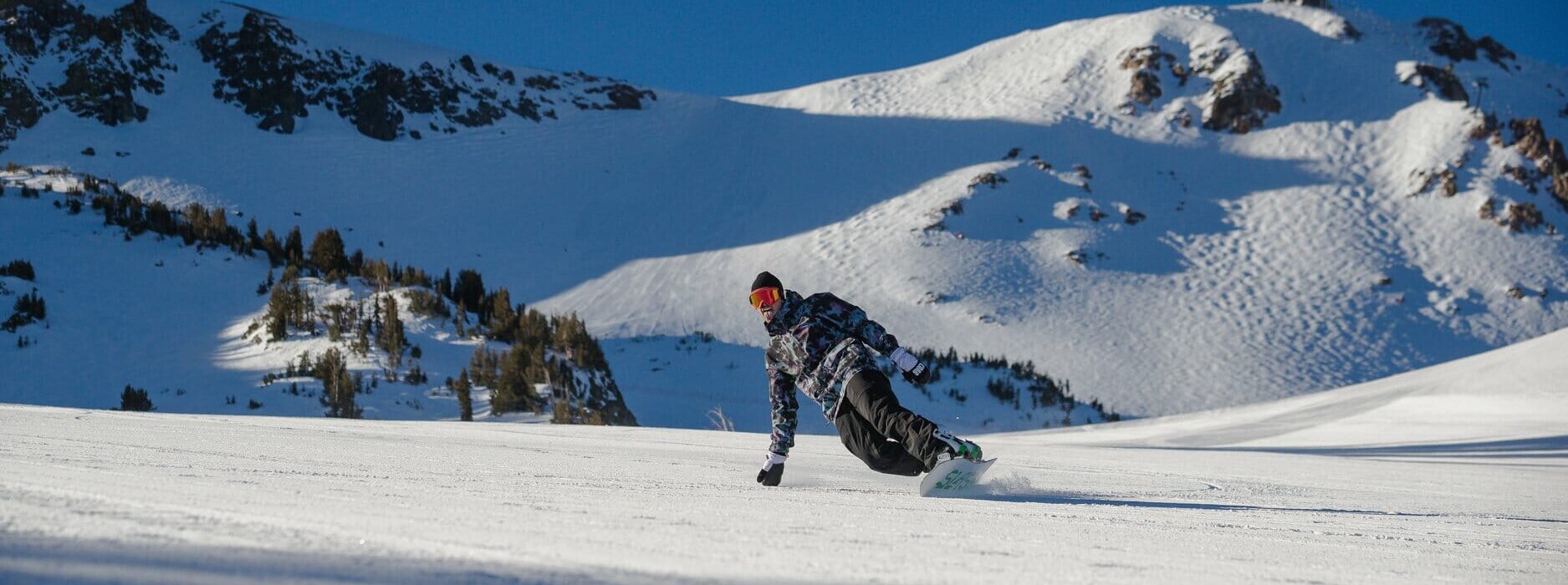 Mammoth 8 Feb