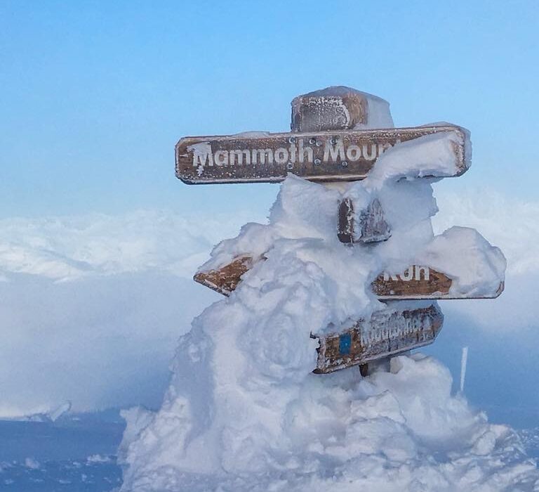 Mammoth 11 Mar 2