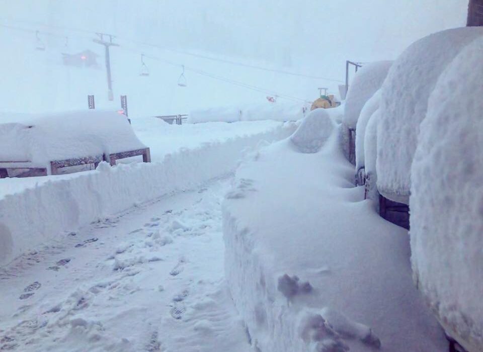 mammoth 1