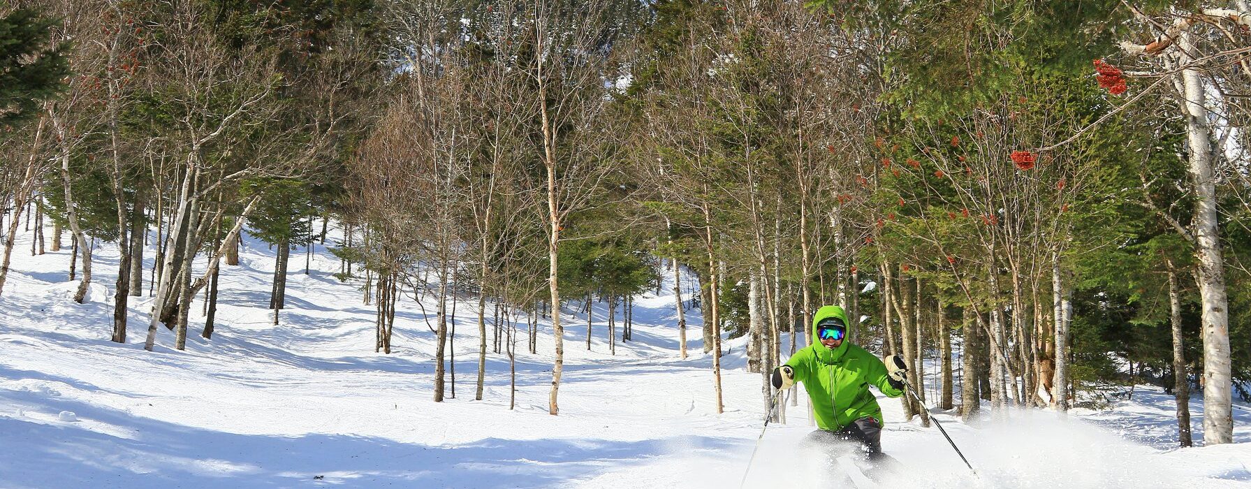 stowe