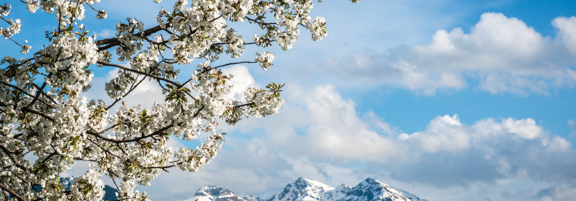 Kitzbuhel 4