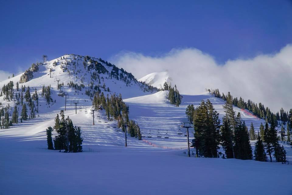 Mammoth 5