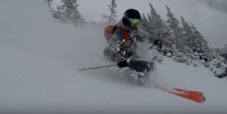 alta edit