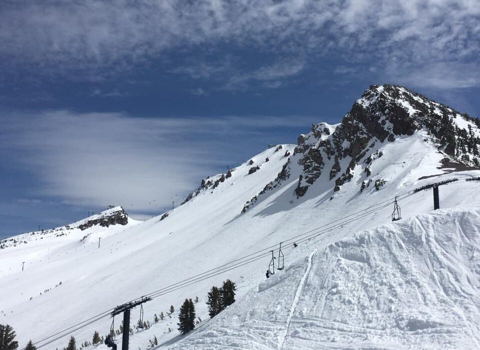 mammoth 2