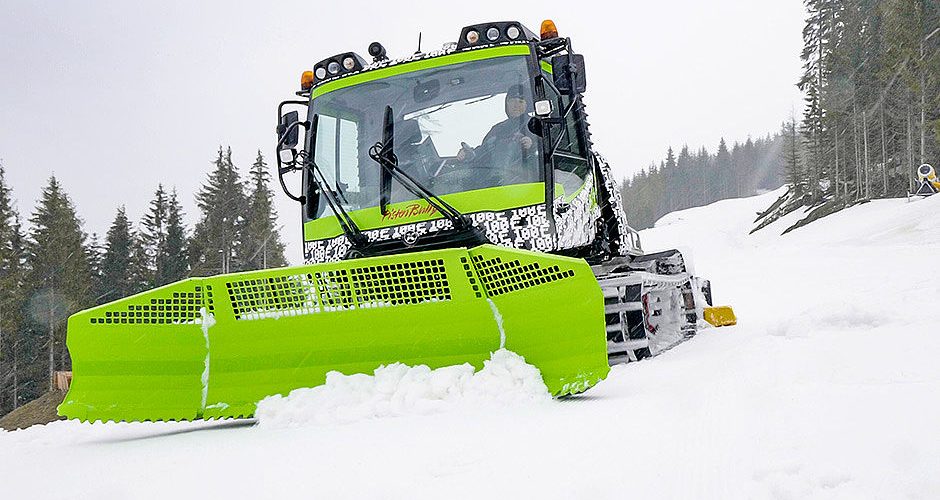 Electric Groomer