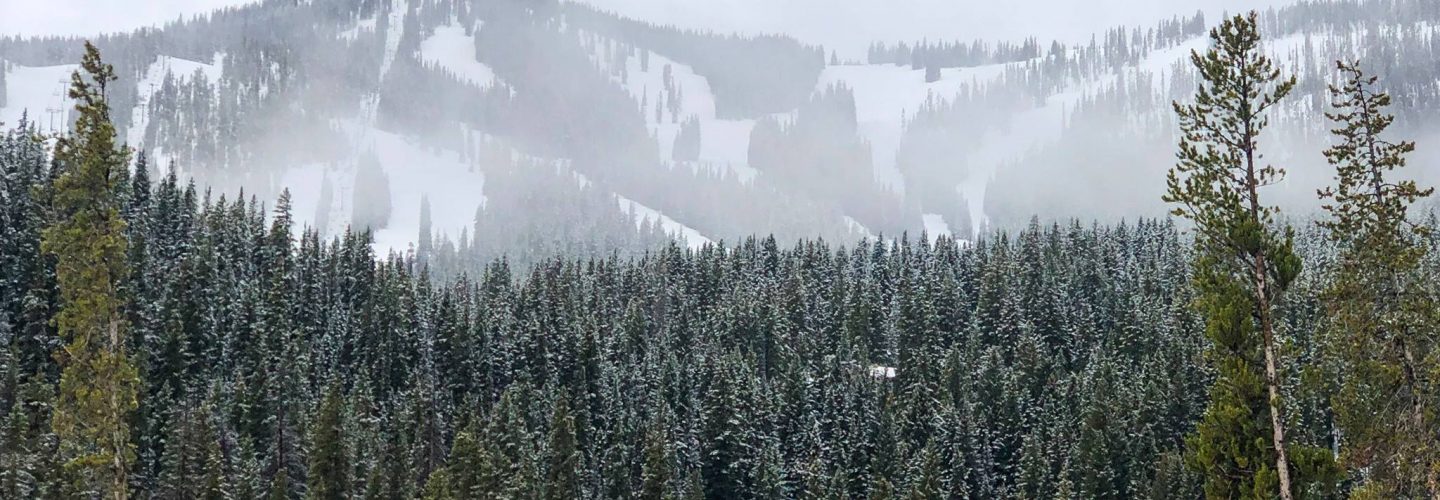Winter Park 2