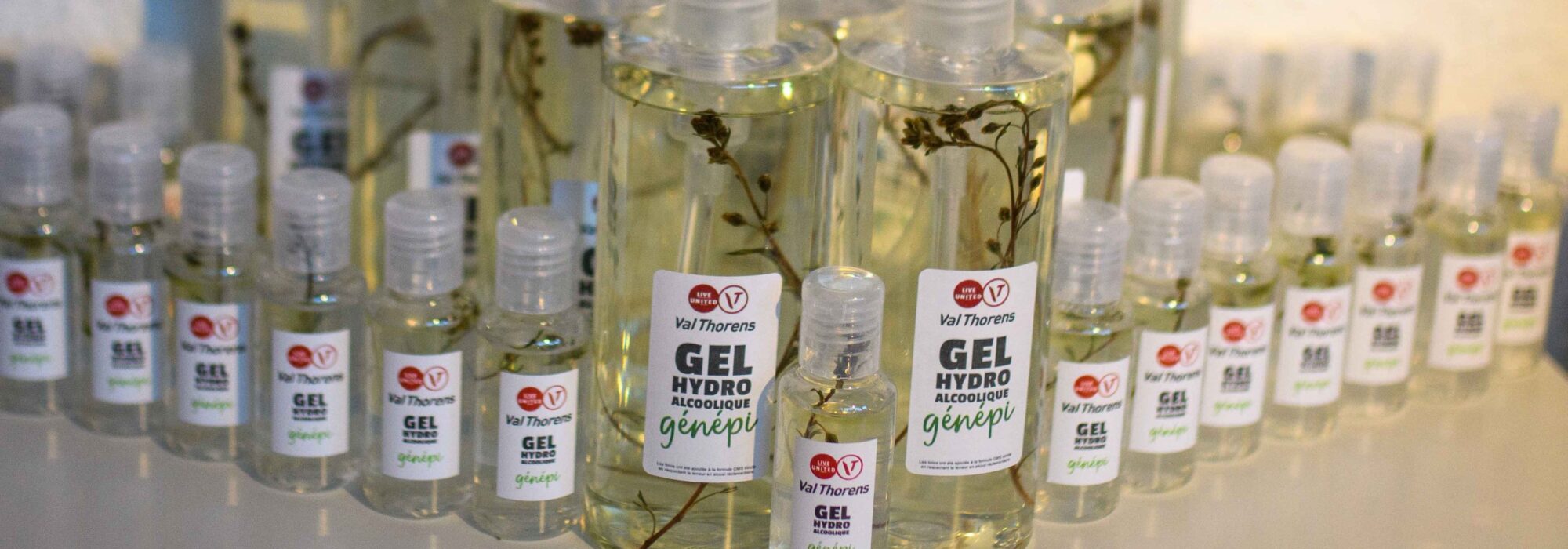LOW REZ Gel Genepi T scaled