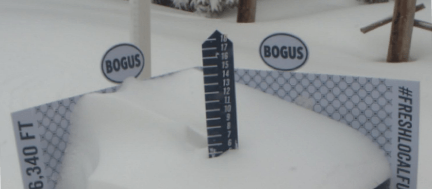 bogus 2