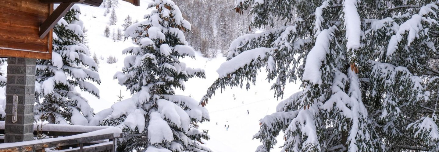 Huge Snowfalls