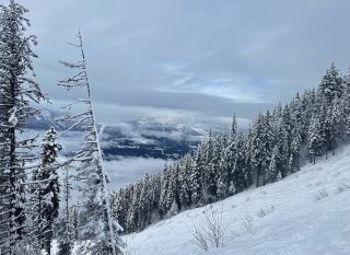 Revelstoke Resort Guide