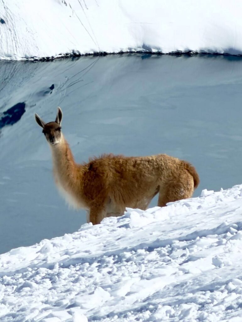 Ski Areas in the Andes Extend Seasons After Huge Snowfalls