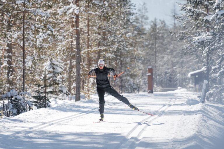 Cross-country skier skating along a sunlit forest trail in the 3 Zinnen Dolomites