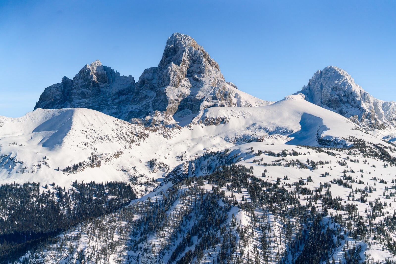 Snow-covered Teton peaks above the forested slopes of Grand Targhee Resort, Wyoming