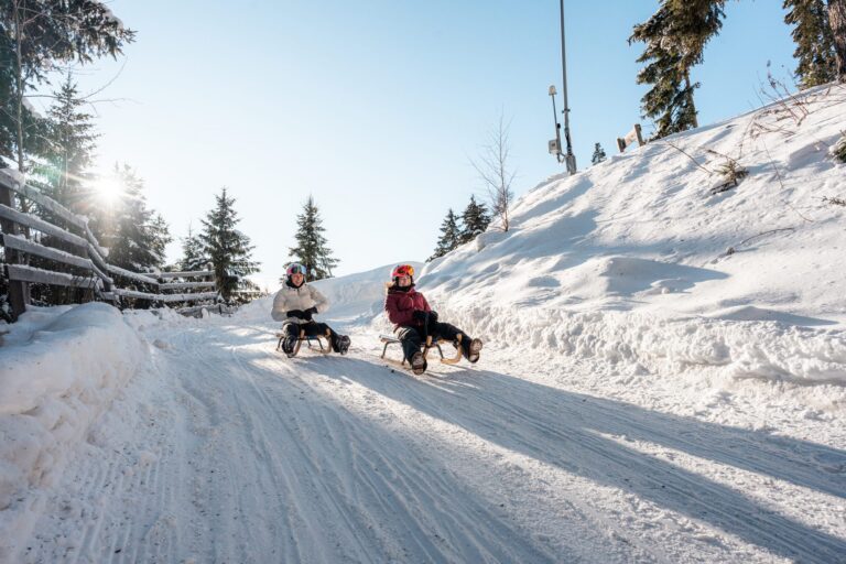Two people tobogganing down a snowy forest track in Sterzing-Ratschings-Gossensass