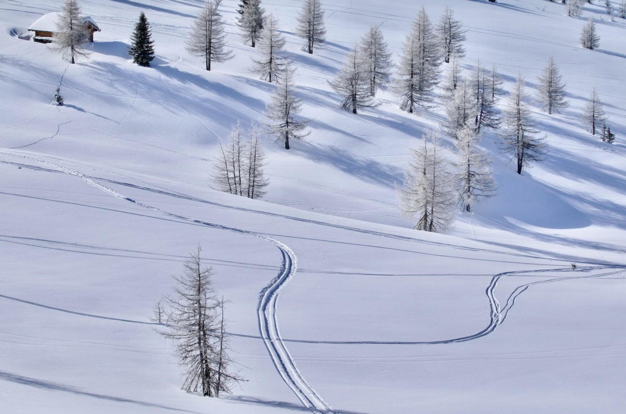 Beyond the Piste – Skis, Skates and a Rod