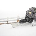 Ski Areas in the Andes Extend Seasons After Huge Snowfalls