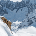 Chamonix: A Valley Connected by the Call of the Mountains